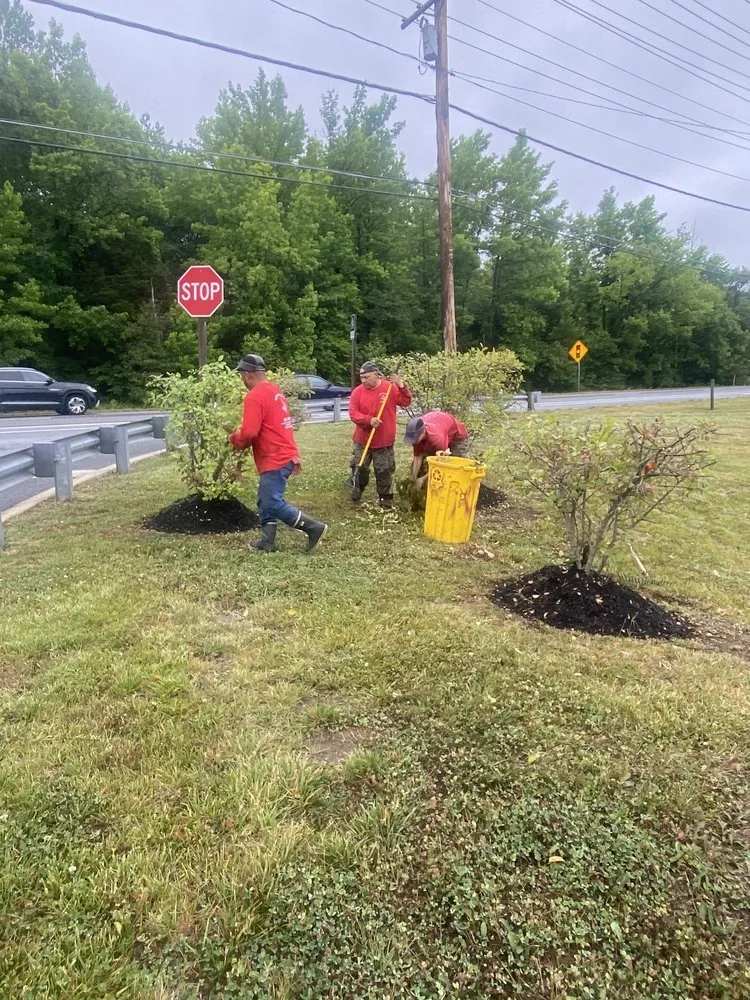 Local outdoor landscaping for residential properties across Harwood, MD - Nativer Tree Expert