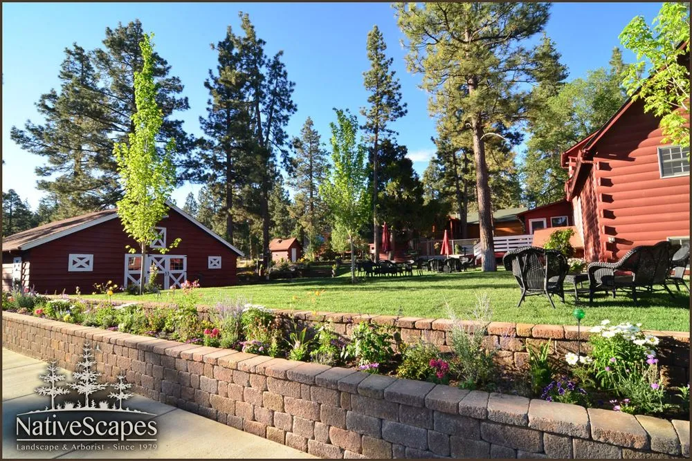 Local landscape installation in Big Bear Lake, CA - NativeScapes