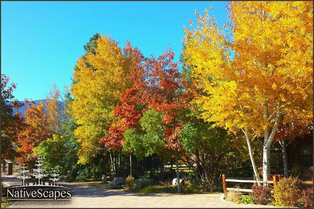 Expert garden landscaping experts serving Big Bear Lake, CA - NativeScapes