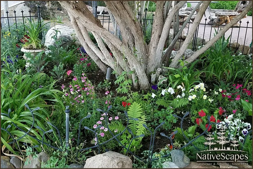 Professional landscape installation near you in Big Bear Lake, CA by NativeScapes
