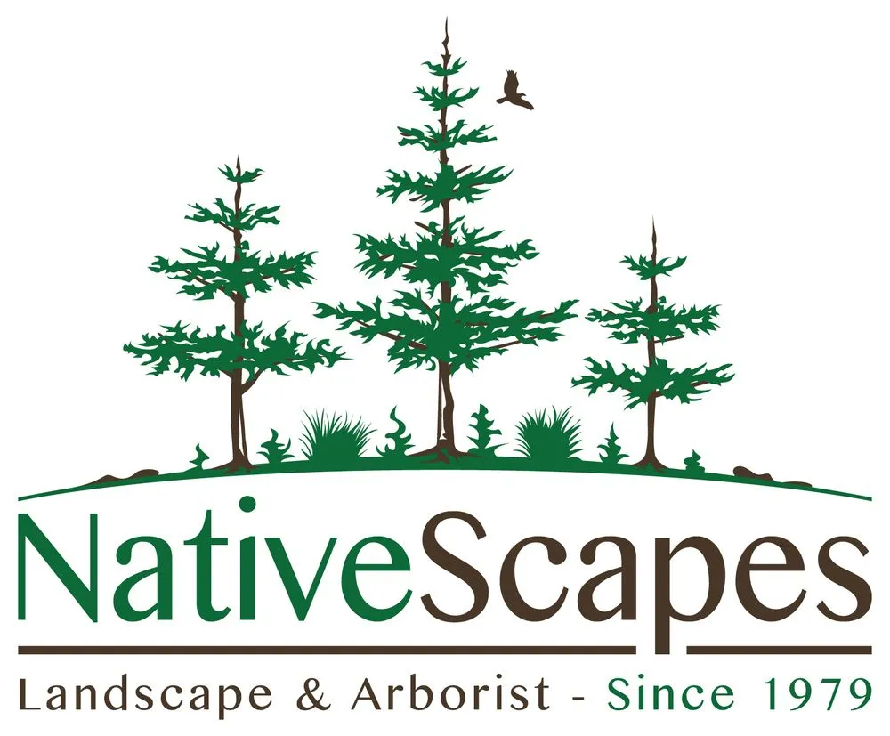 Expert yard maintenance experts serving Big Bear Lake, CA - NativeScapes