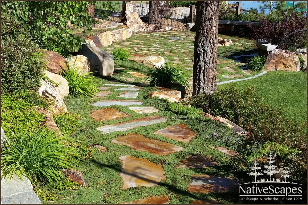 Expert yard cleanup service with custom design in Big Bear Lake, CA by NativeScapes