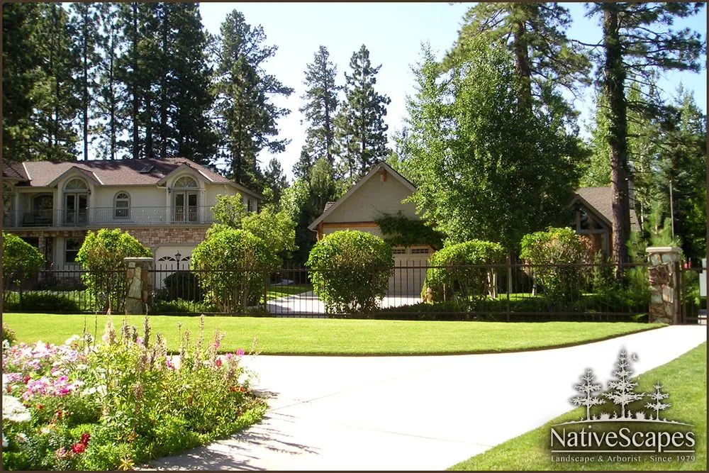 Expert residential landscaping in Big Bear Lake, CA by NativeScapes