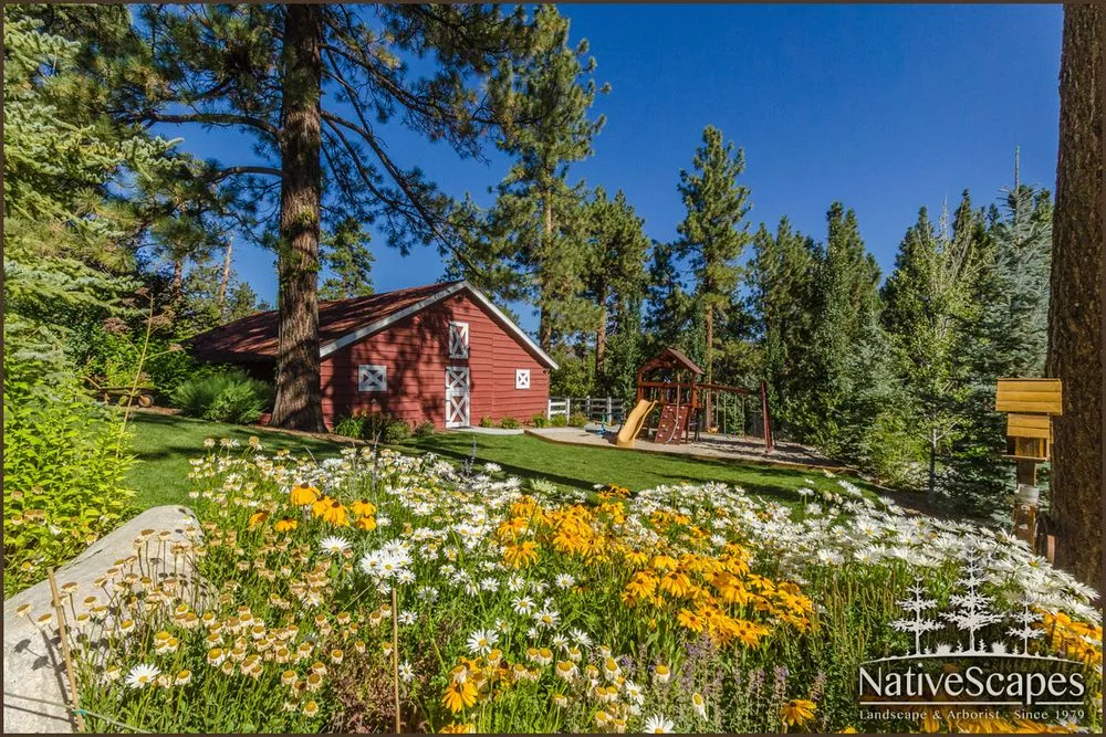 Reliable residential landscaping in Big Bear Lake, CA by NativeScapes