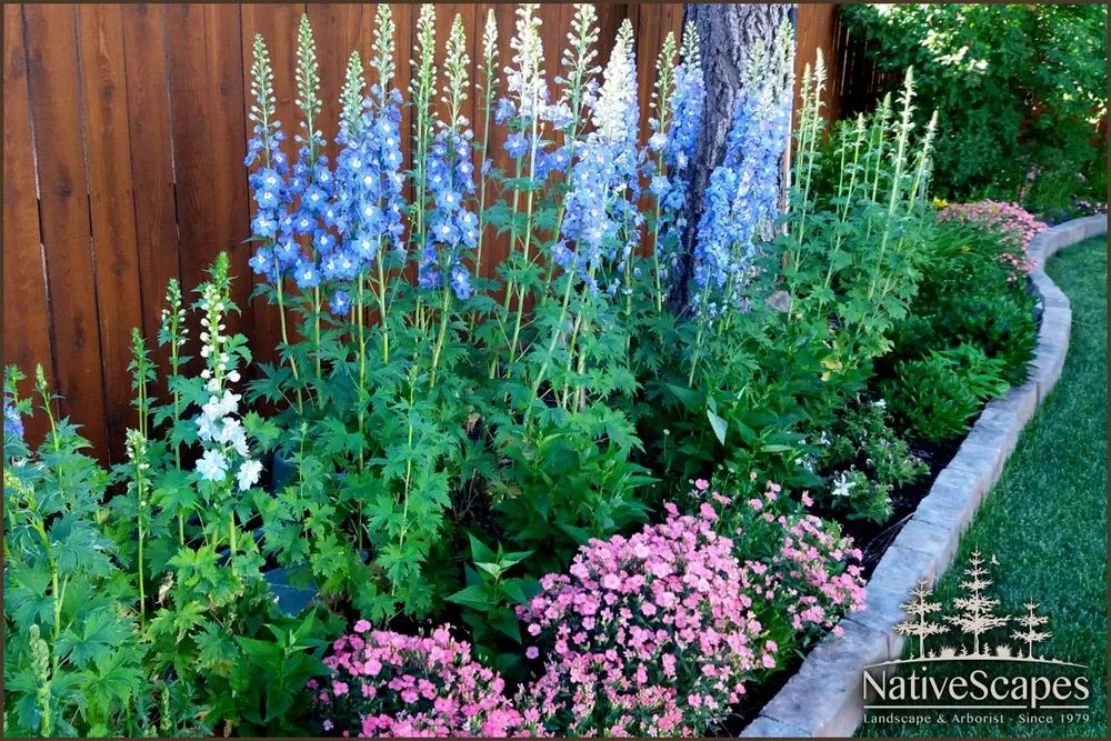 Professional lawn mowing service in Big Bear Lake, CA by NativeScapes