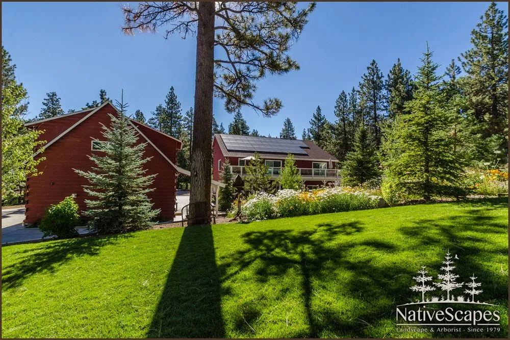 Reliable residential landscaping in Big Bear Lake, CA by NativeScapes