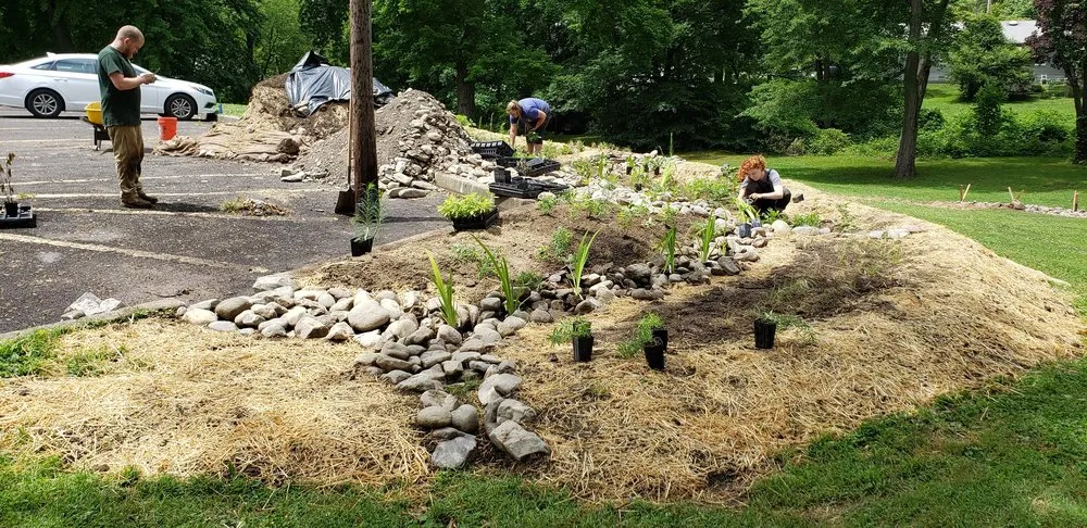 Top-rated residential landscaping for beautiful yards across Elkins Park, PA - NativeScapes