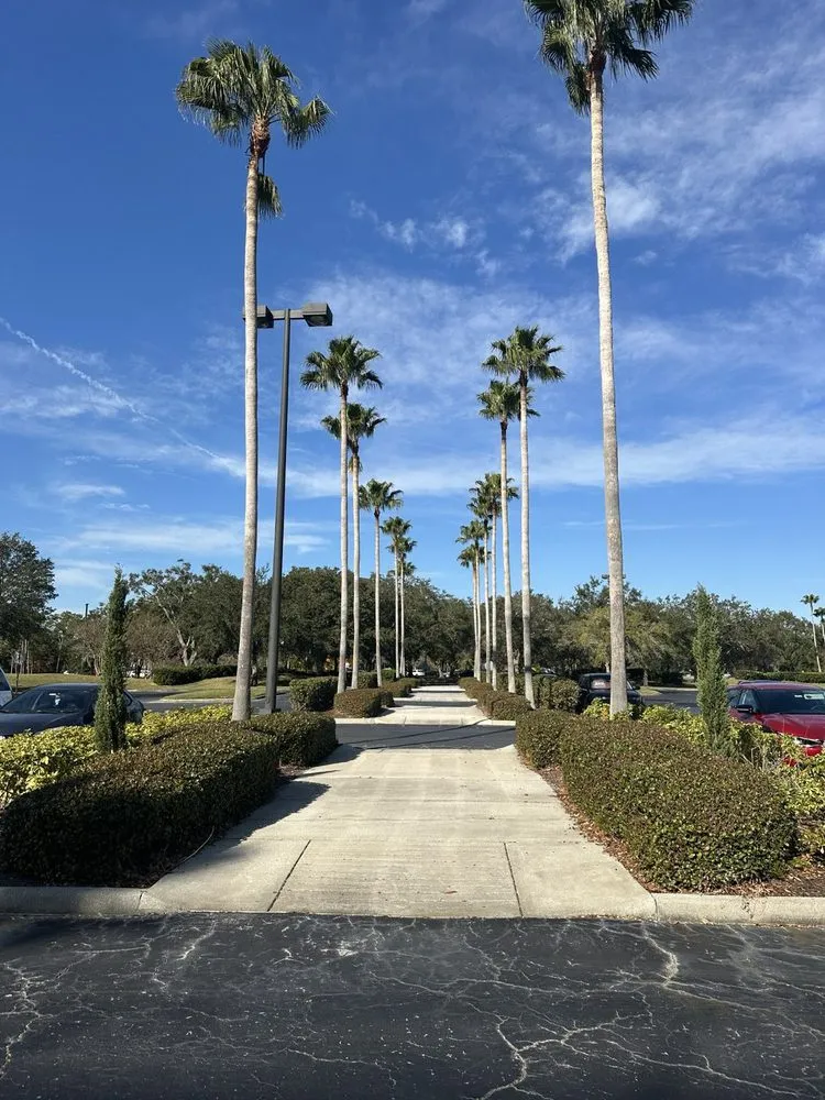 Top-rated landscape installation in Lake Mary, FL by NativeScapes