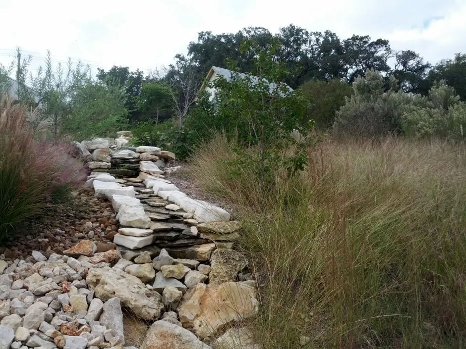 Top-rated lawn care service experts serving New Braunfels, TX - NativeScapes Landscaping