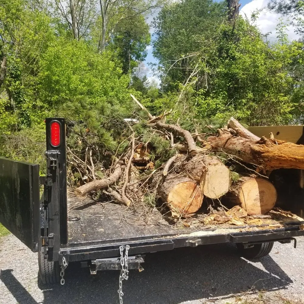 Affordable lawn care service near you in Knoxville, TN by NATIVFX