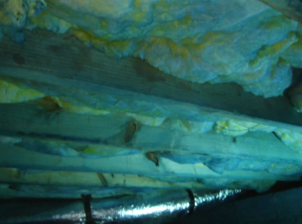 Professional outdoor landscaping in Knoxville, TN by NATIVFX