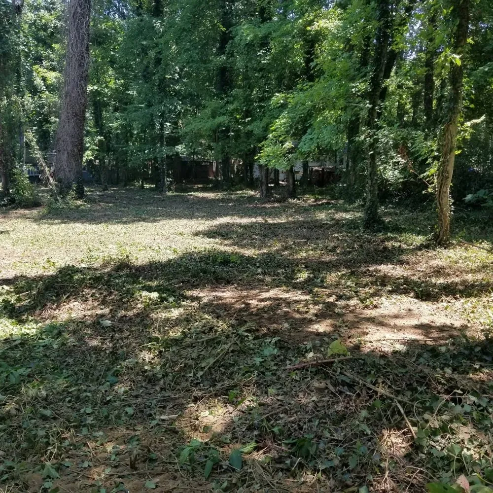 Expert lawn care service in Knoxville, TN - NATIVFX