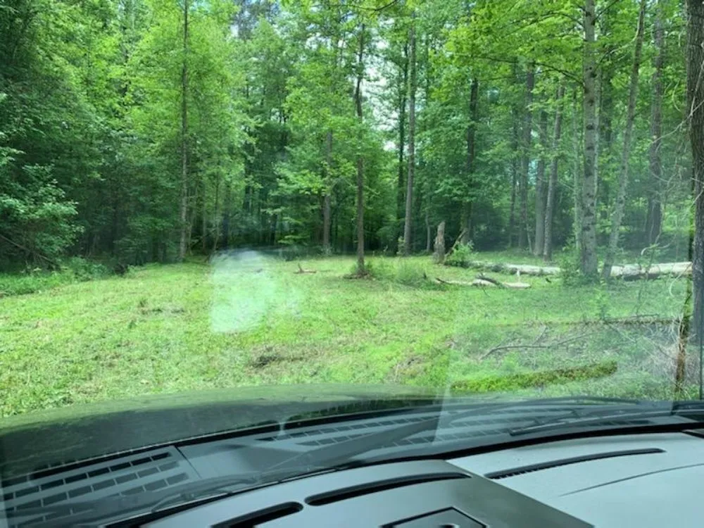 Professional yard maintenance in Knoxville, TN by NATIVFX