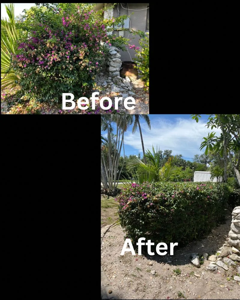 Reliable garden landscaping with custom design across Lehigh Acres, FL - Nato Precision Cutz