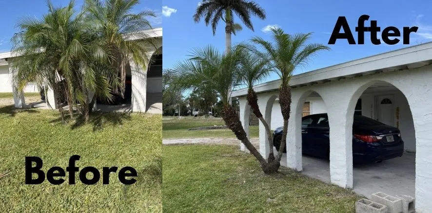 Affordable yard maintenance for year-round maintenance across Lehigh Acres, FL - Nato Precision Cutz
