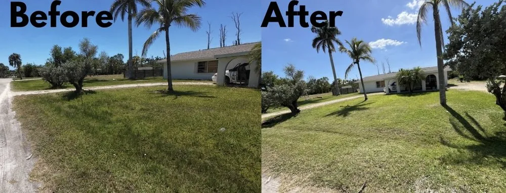 Affordable lawn care service in Lehigh Acres, FL - Nato Precision Cutz
