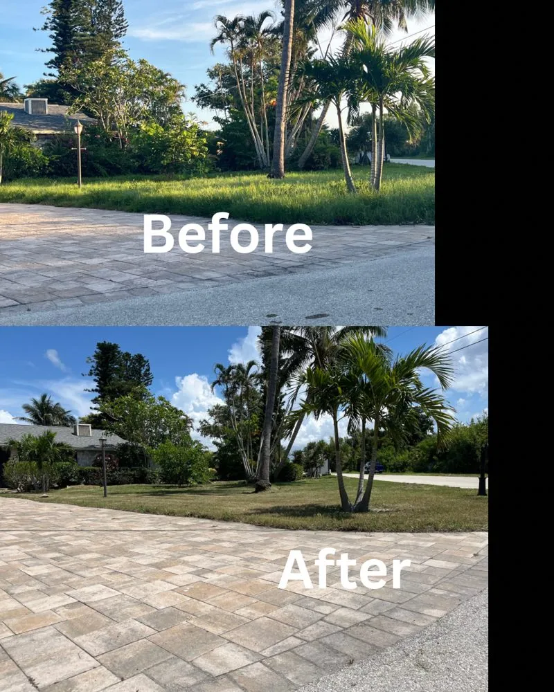 Expert landscaping services for beautiful yards in Lehigh Acres, FL by Nato Precision Cutz