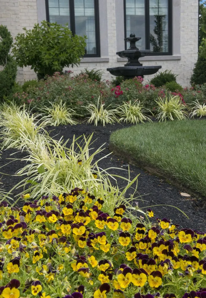 Top-rated lawn care service experts serving Mason, OH - Natorp's Landscape