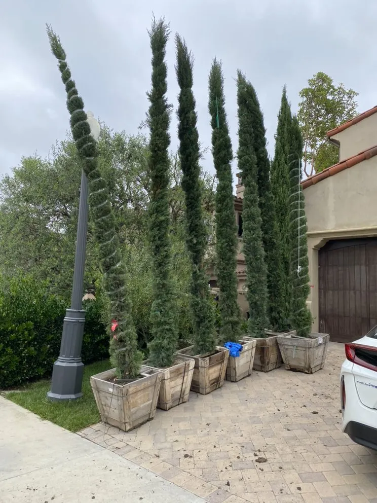 Top-rated outdoor landscaping near you across Laguna Niguel, CA - Natree Landscape