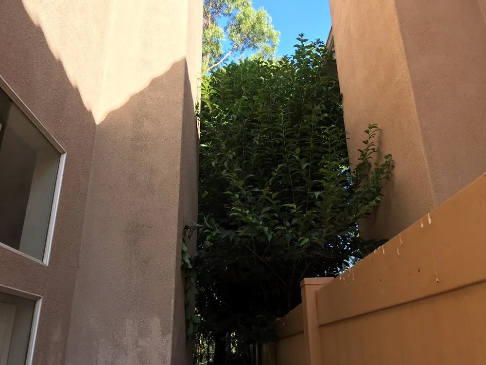 Top-rated landscape installation in Laguna Niguel, CA by Natree Landscape