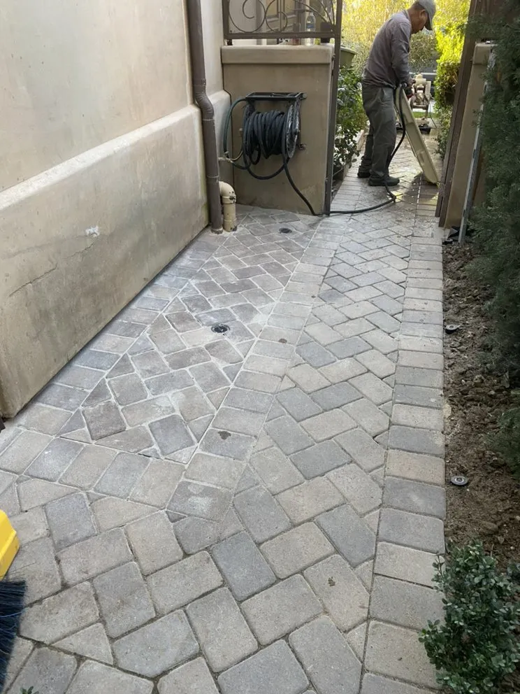 Custom lawn mowing service experts serving Laguna Niguel, CA - Natree Landscape