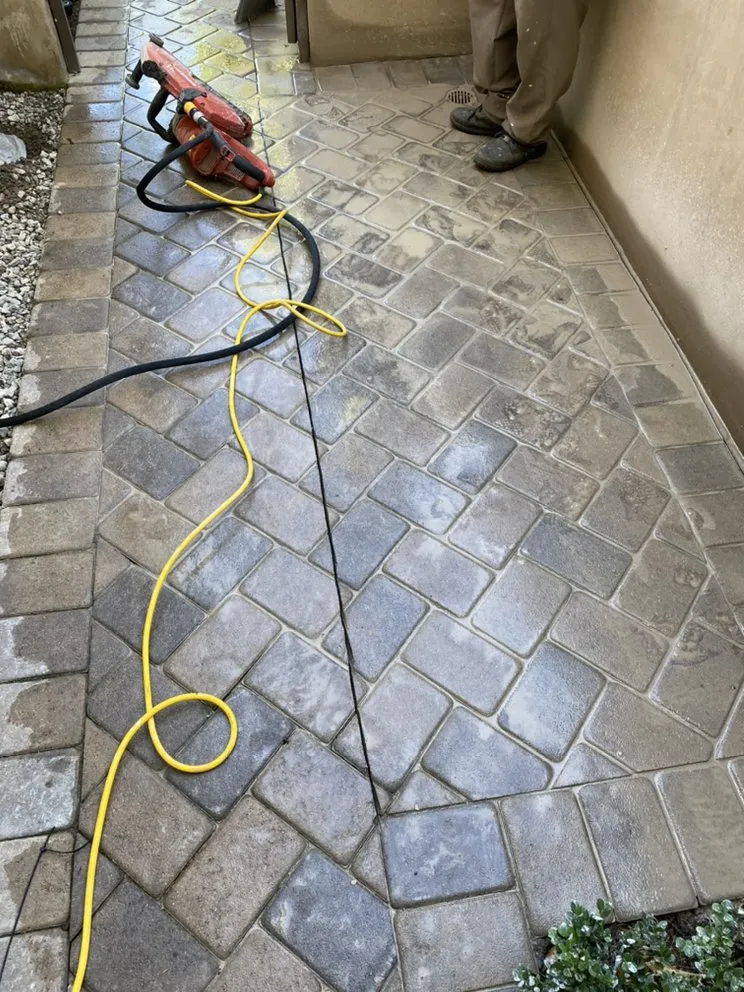 Top-rated residential landscaping in Laguna Niguel, CA - Natree Landscape