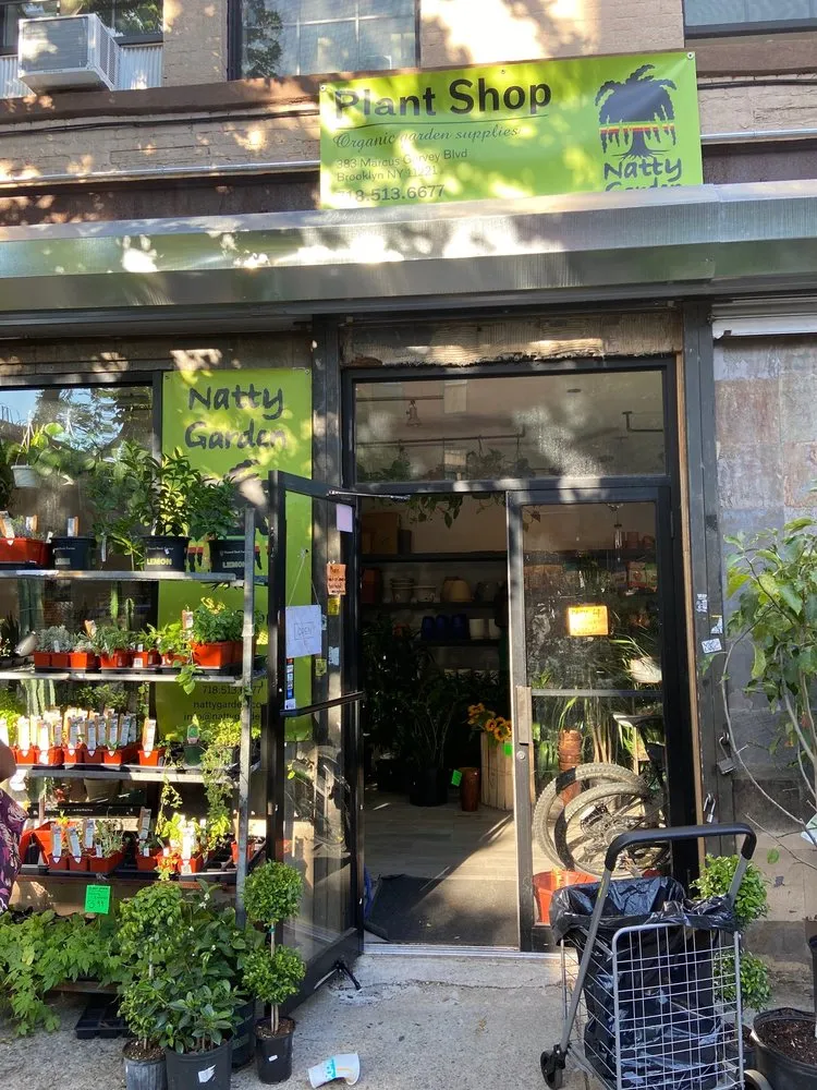 Professional yard cleanup service in Brooklyn, NY - Natty Garden