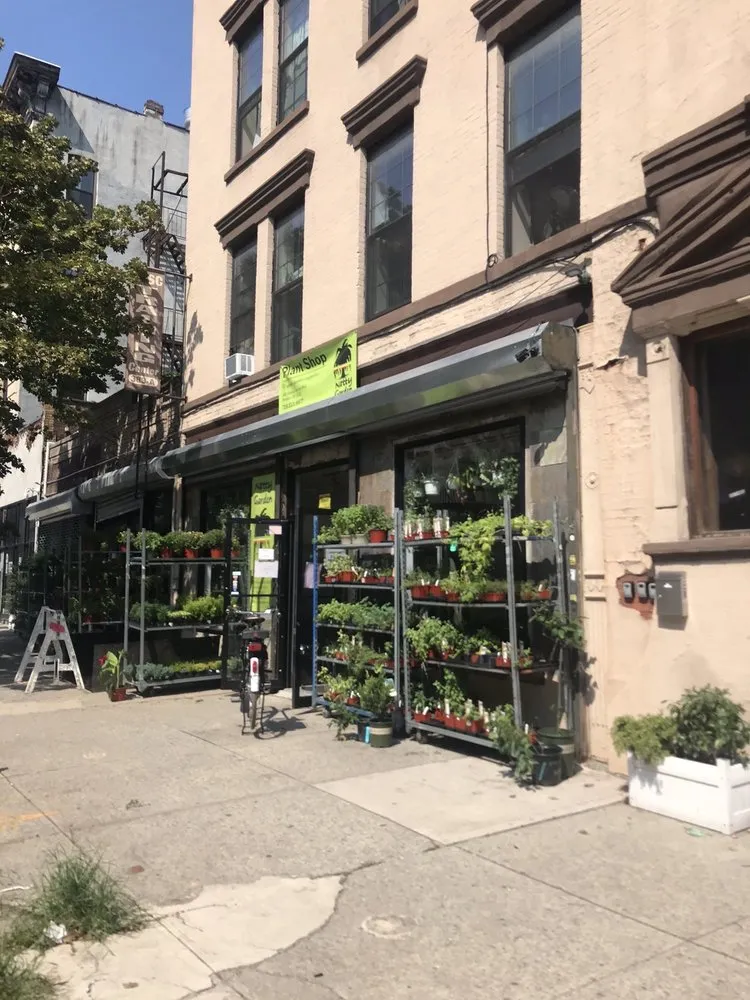 Custom garden landscaping in Brooklyn, NY by Natty Garden