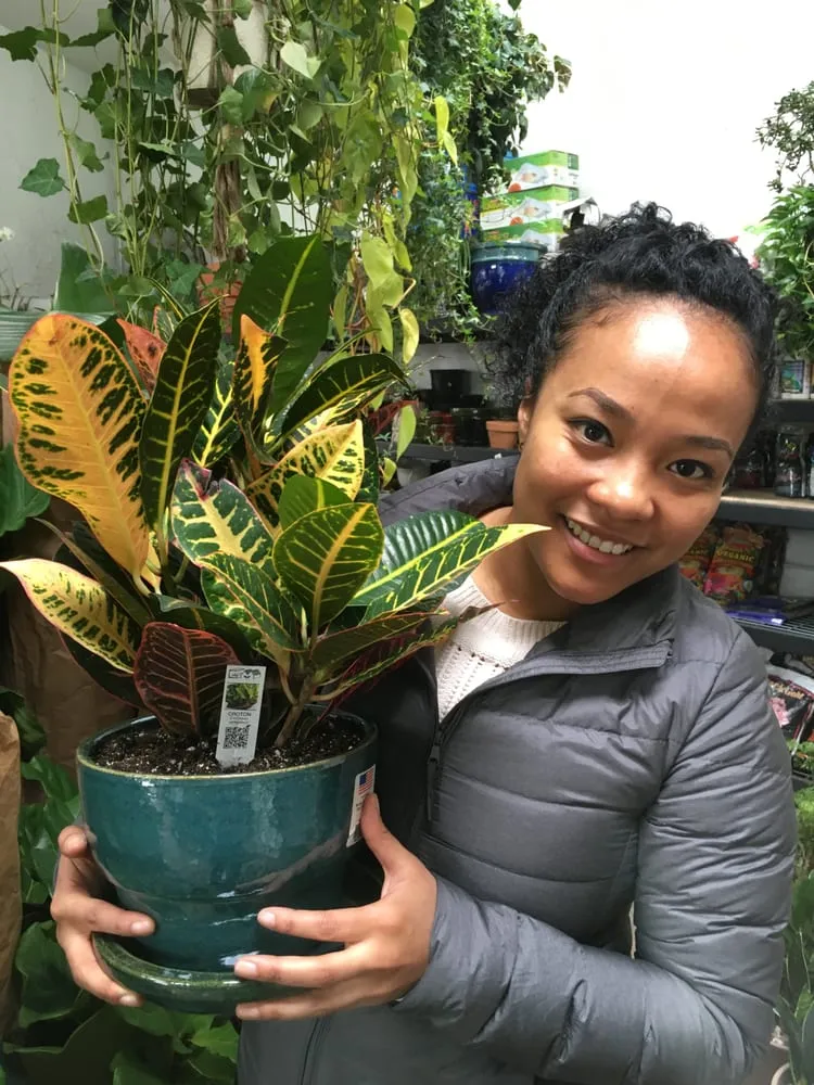 Affordable lawn mowing service experts serving Brooklyn, NY - Natty Garden