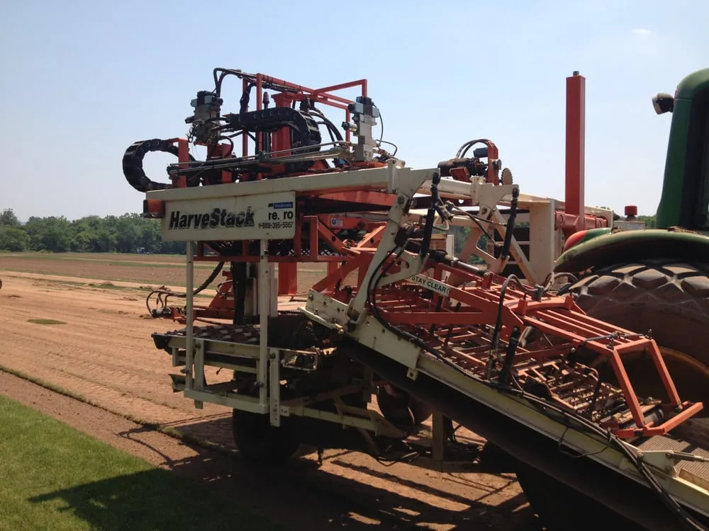 Affordable outdoor landscaping for outdoor upgrades across Brooklyn, NY - Natty Garden