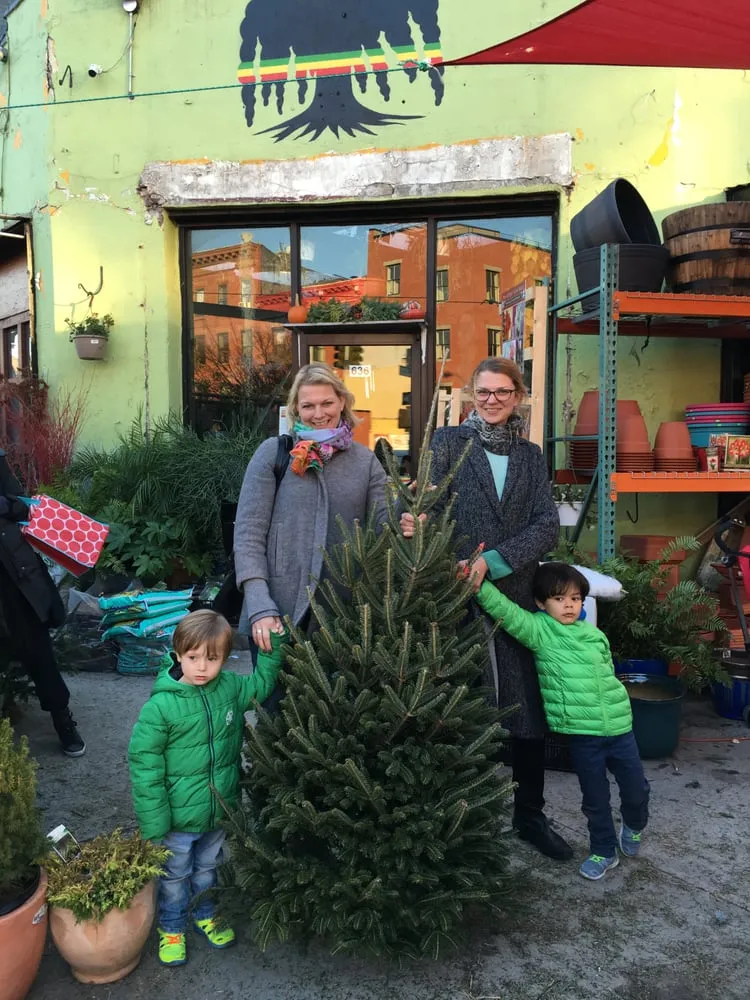 Expert landscape installation for homes in Brooklyn, NY by Natty Garden