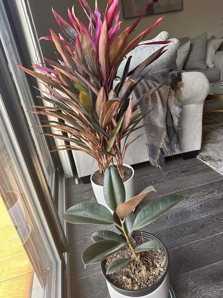 Expert landscaping services for homes across Brooklyn, NY - Natty Garden