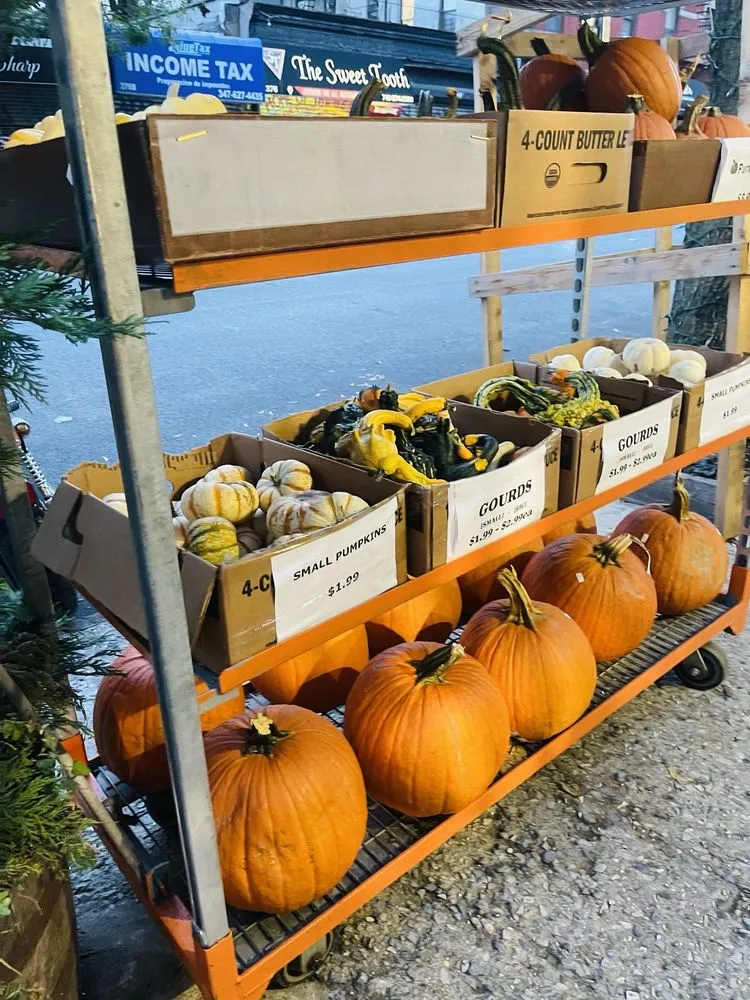 Trusted landscape installation in Brooklyn, NY by Natty Garden