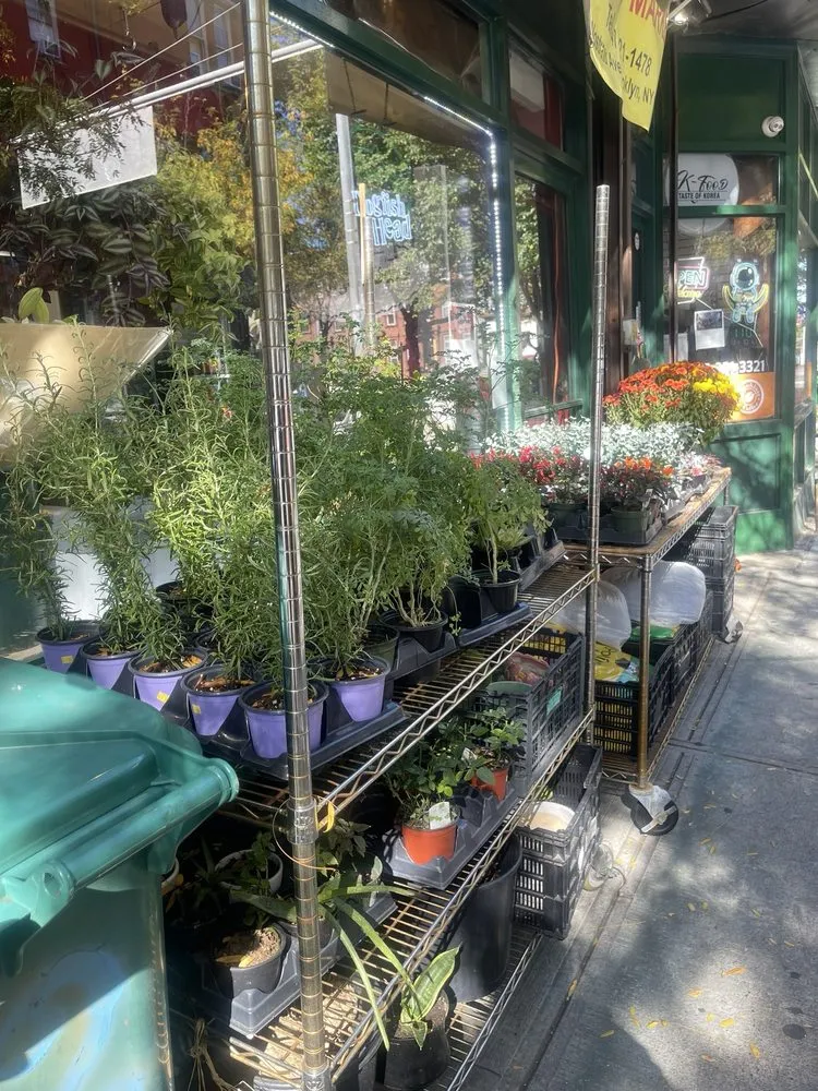 Professional outdoor landscaping in Brooklyn, NY by Natty Garden