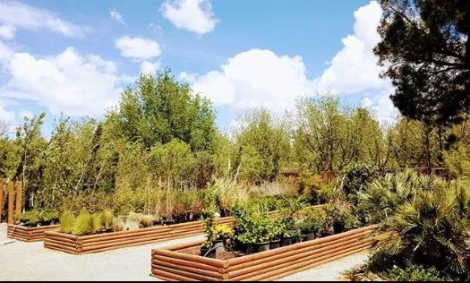 Reliable landscape design near you across Las Cruces, NM - Natura Greenhouse