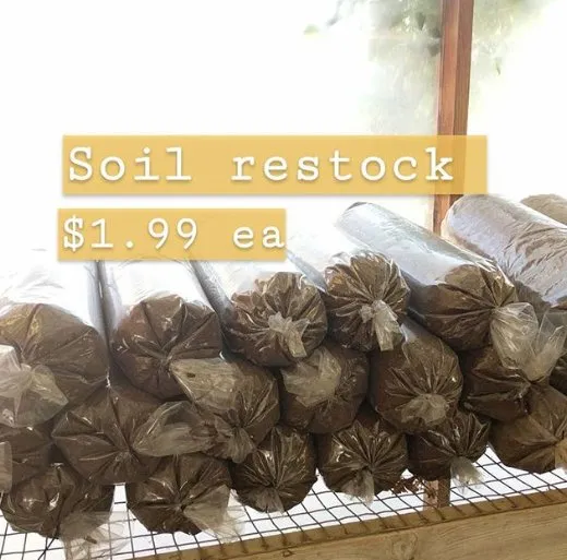 Top-rated garden landscaping experts serving Las Cruces, NM - Natura Greenhouse