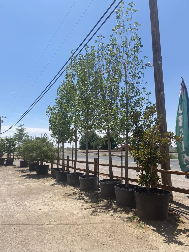 Reliable residential landscaping for residential properties in Las Cruces, NM by Natura Greenhouse