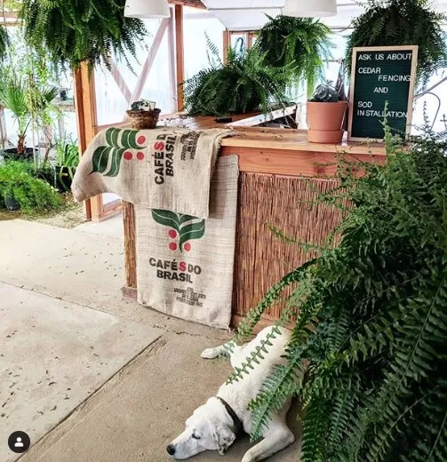 Professional landscape design in Las Cruces, NM - Natura Greenhouse