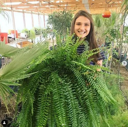 Local yard cleanup service experts serving Las Cruces, NM - Natura Greenhouse