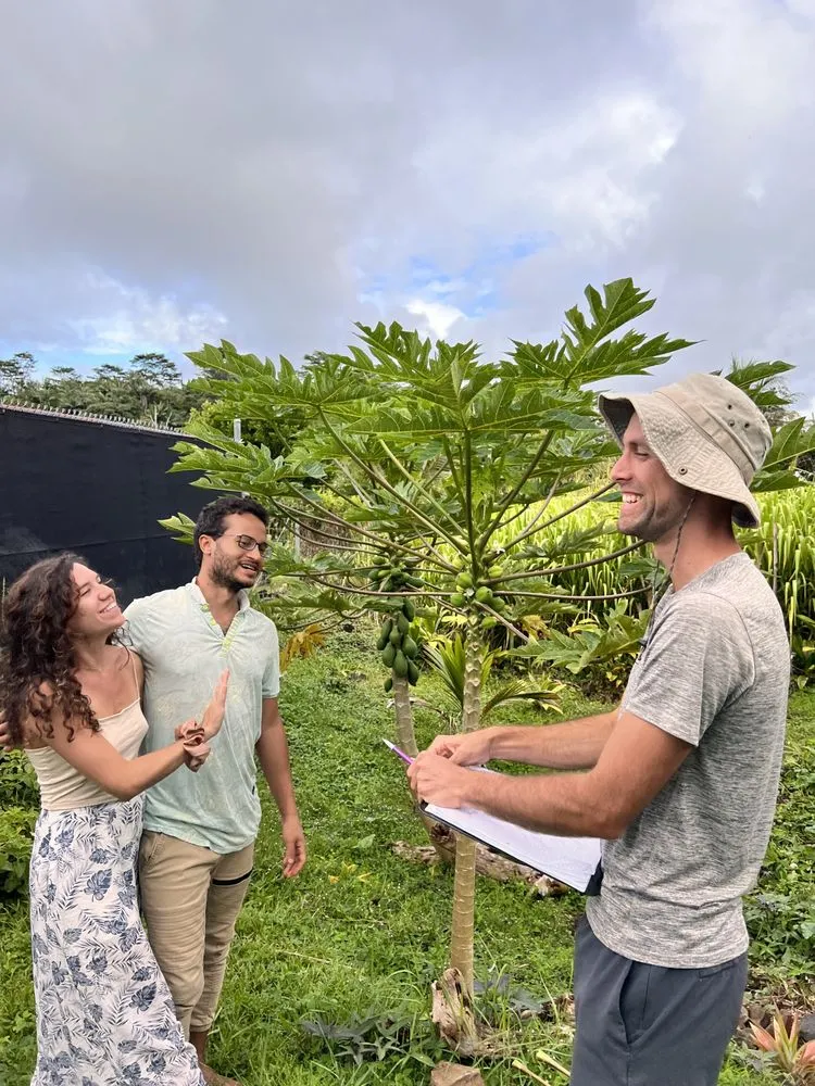 Professional lawn care service for beautiful yards across Papaikou, HI - Natural Abundance