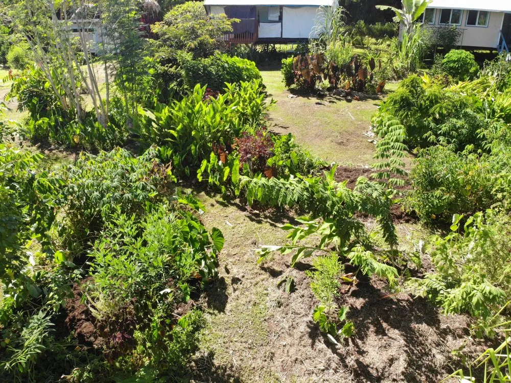 Local landscape installation in Papaikou, HI - Natural Abundance