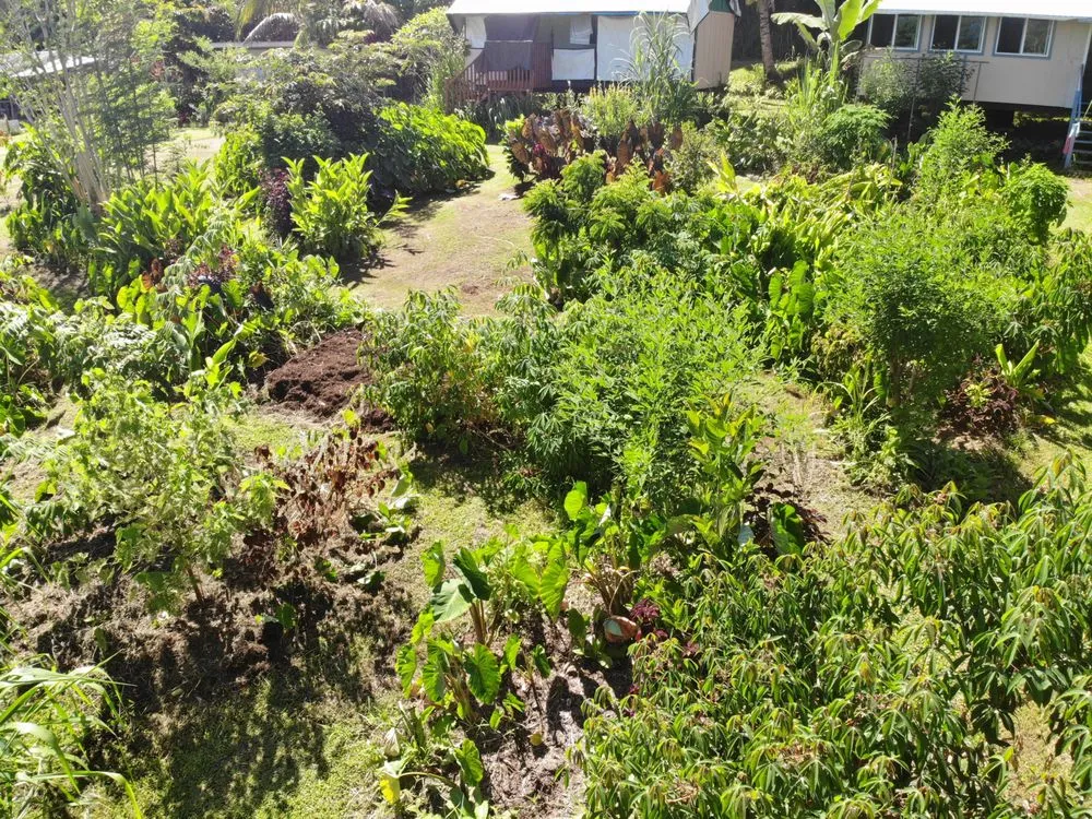 Top-rated yard maintenance with custom design across Papaikou, HI - Natural Abundance