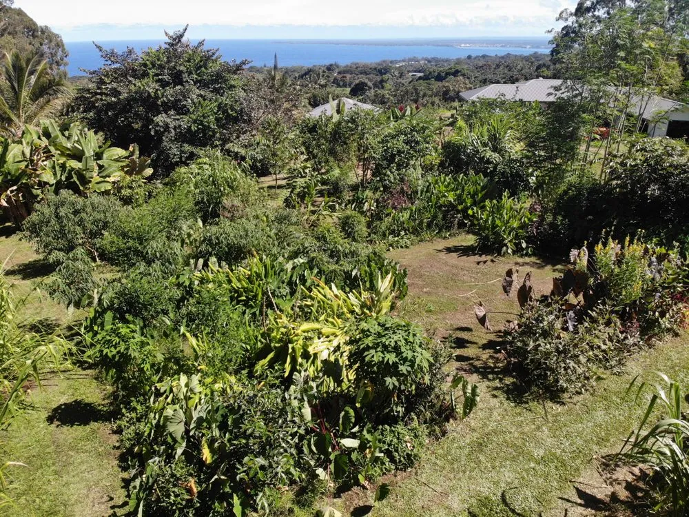 Top-rated outdoor landscaping in Papaikou, HI - Natural Abundance