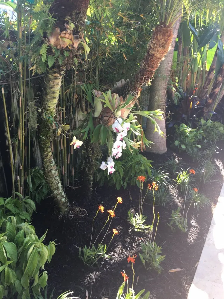 Top-rated residential landscaping in Davie, FL by Natural Art Landscape & Design