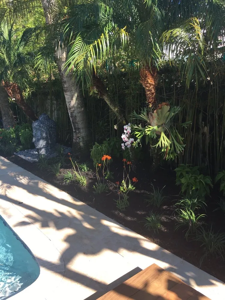 Top-rated lawn mowing service experts serving Davie, FL - Natural Art Landscape & Design