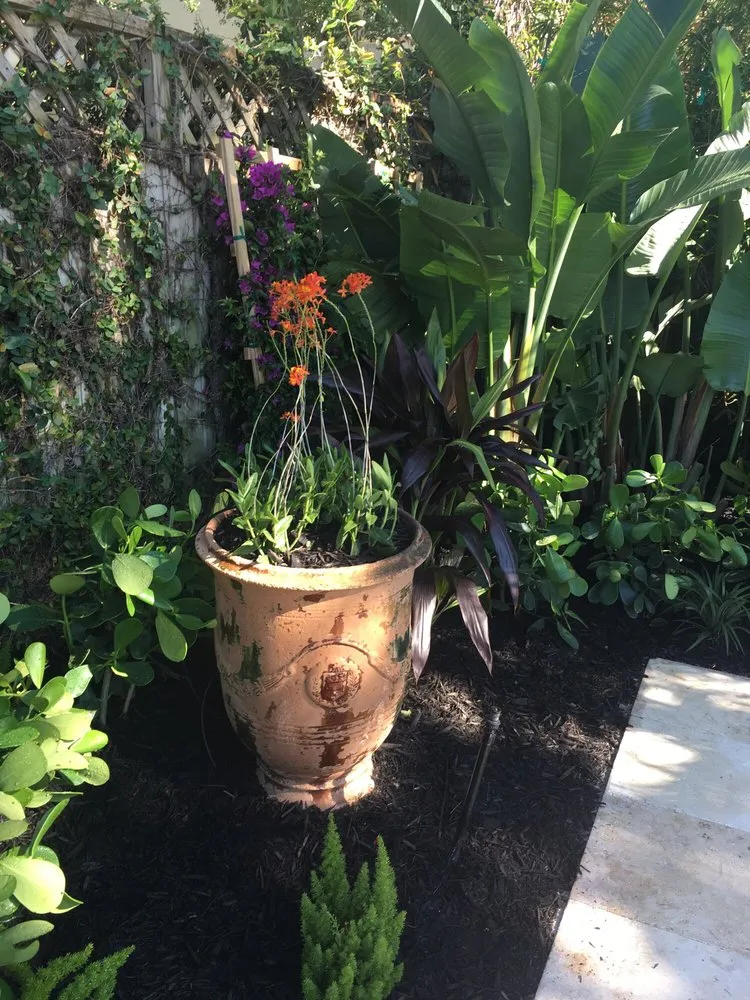 Affordable landscape installation in Davie, FL - Natural Art Landscape & Design