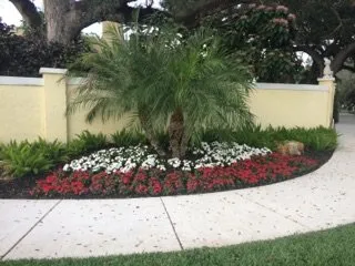 Local yard cleanup service for year-round maintenance across Davie, FL - Natural Art Landscape & Design