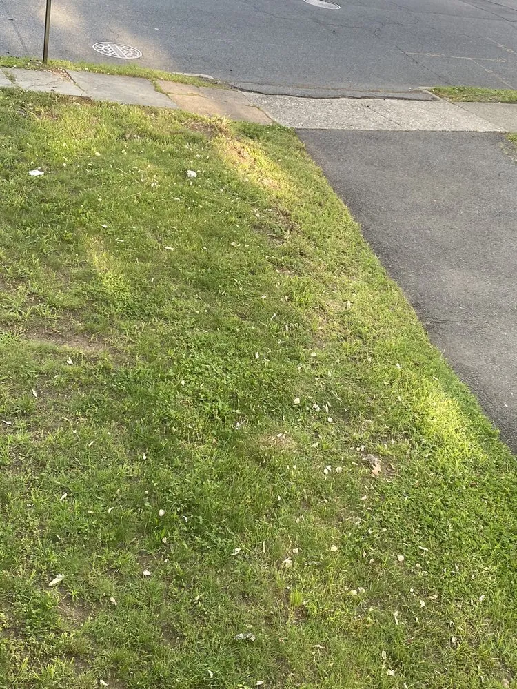 Affordable landscape design in Englewood, NJ by Natural Art Landscaping