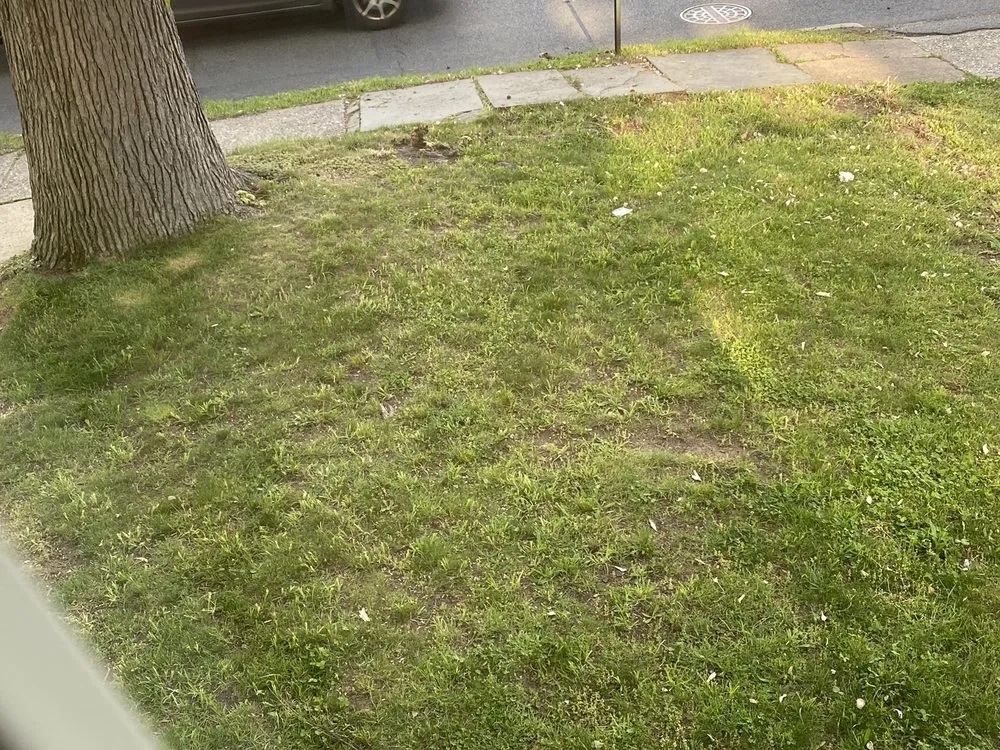 Local lawn mowing service for year-round maintenance across Englewood, NJ - Natural Art Landscaping