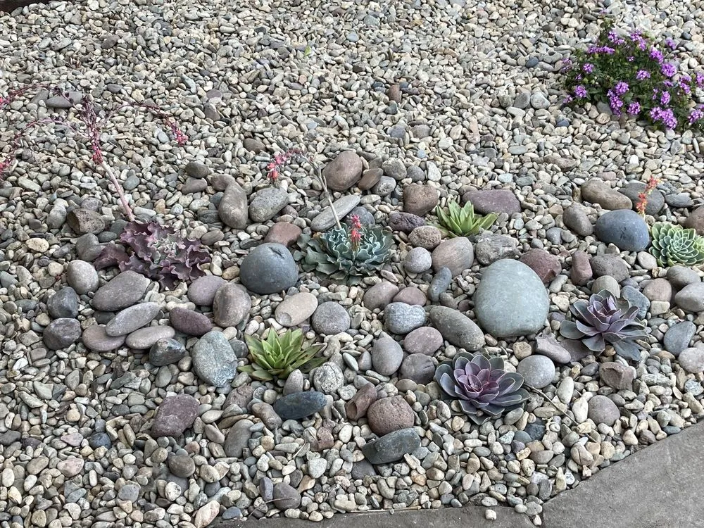 Professional lawn care service in San Diego, CA - Natural Aspect Gardenscape